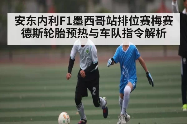 安东内利F1墨西哥站排位赛梅赛德斯轮胎预热与车队指令解析